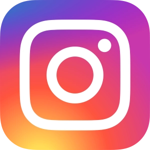 instagram icone icon 1